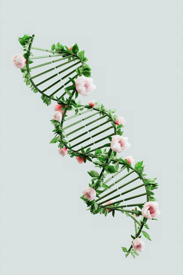 nosotros-hid-Nuestra Política de Calidad